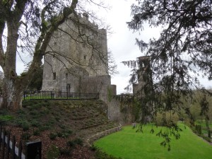 Blarney Castle & gardens