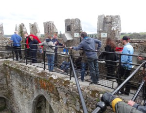 Waiting to kiss the Blarney Stone!