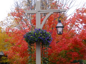 Autumn in Bar Harbor, Maine