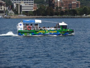 The Harbour Hopper: need we say more?