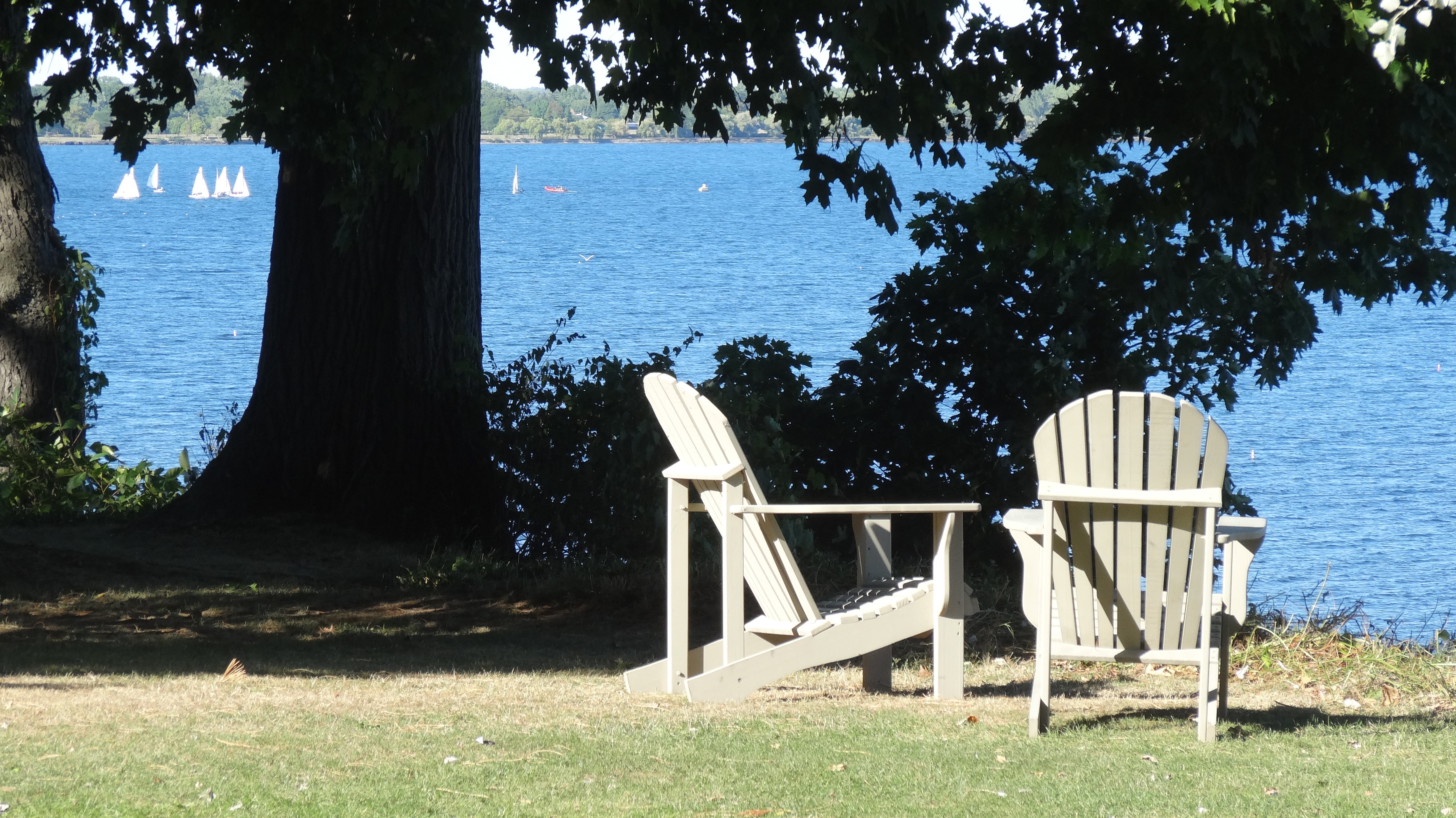 adirondack-chairs