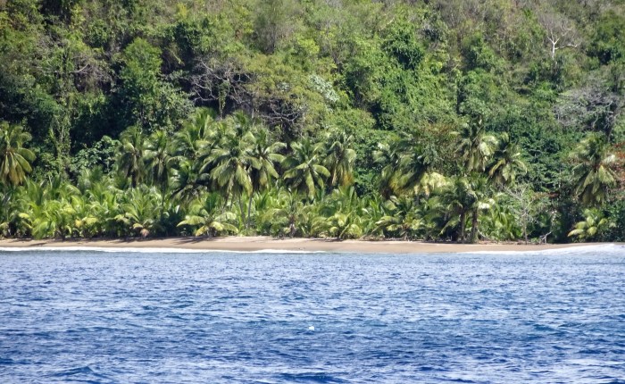 Chartering a Private Catamaran in St. Lucia: One perfect day in the Caribbean